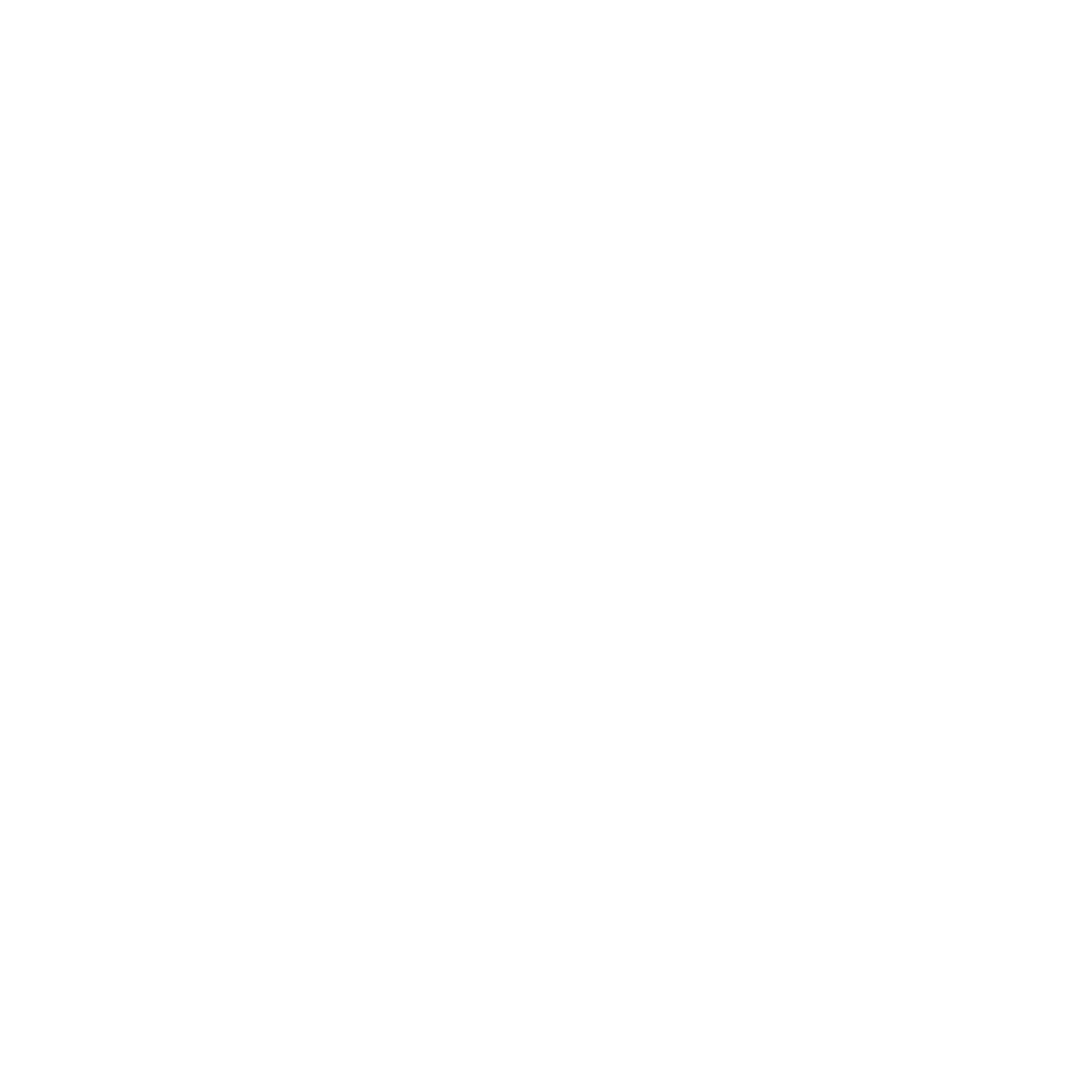 Fokus und Strategieplanung Icon